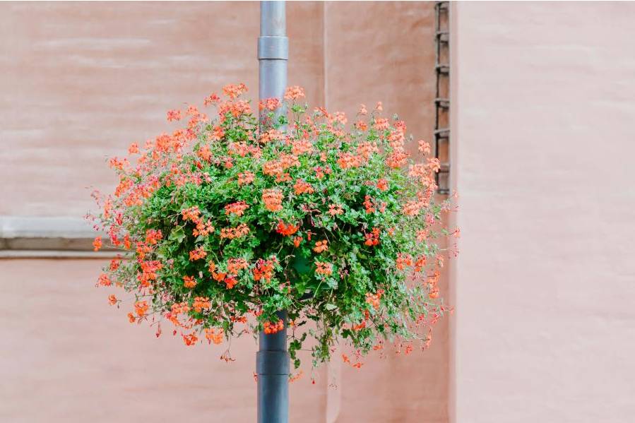 Ceremony florals
